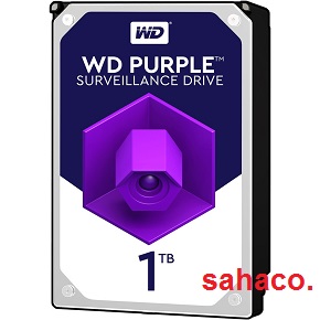 هارد 1 ترابایت بنفش